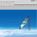 如何去除圖片部分元素